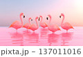 A serene scene of six pink flamingos standing gracefully in calm waters during a peaceful sunrise. Their vibrant colors reflect beautifully against the tranquil backdrop. 137011016