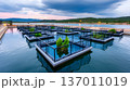 A serene view of water platforms with lush greenery. The calm water reflects a beautiful sky, showcasing a blend of nature and modern design for a tranquil setting. 137011019