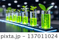 A series of test tubes filled with vibrant green liquid, showcasing plant growth in a scientific laboratory setting, representing innovation and sustainable research. 137011024