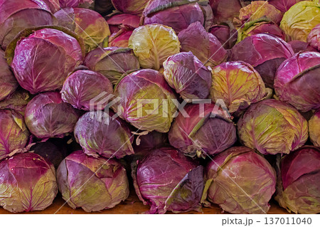 Raw purple cabbage pile on market 137011040