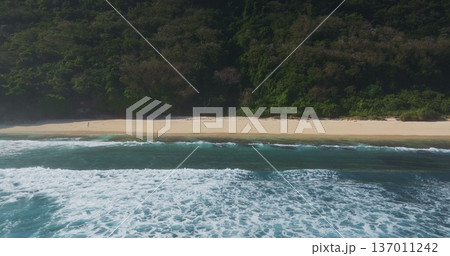 Vast untouched sandy beach on Bali island, Indonesia with lush green jungle meeting the shoreline as turquoise ocean water and white waves break gently. Natural background. Aerial drone view footage Vast untouched sandy beach on Bali island, Indonesia with lush green jungle meeting the shoreline as turquoise ocean water and white waves break gently. Natural background. Aerial drone view footage 137011242