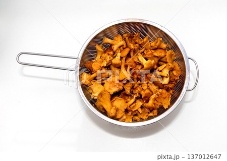 Chanterelle mushrooms in strainer Chanterelle mushrooms in strainer 137012647
