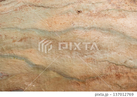 Natural Wood Grain Texture with Earthy Tones Natural Wood Grain Texture with Earthy Tones 137012769