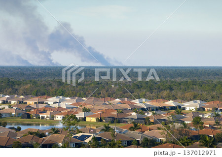 Suburban neighborhood in Florida suffering from bad air quality polluted with prescribed forest fire smoke 137012971