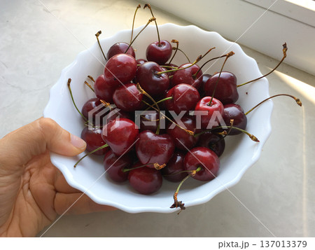 Bowl of fresh cherries held near window in daylight. Summer harvest, nutrition, freshness and healthy lifestyle concept 137013379