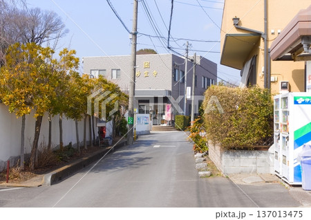 埼玉県さいたま市妙宣寺周辺2026年2月 137013475