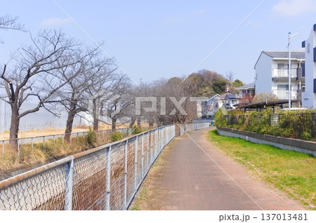 埼玉県川口市見沼代用水東縁2026年2月 埼玉県川口市見沼代用水東縁2026年2月 137013481