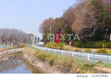 埼玉県川口市東沼神社周辺2026年2月 137013492