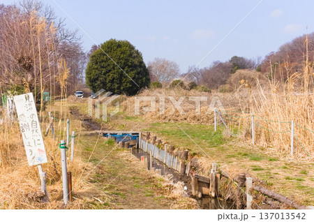 埼玉県川口市見沼自然の家周辺2026年2月 137013542
