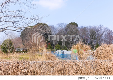 埼玉県川口市見沼自然の家周辺2026年2月 埼玉県川口市見沼自然の家周辺2026年2月 137013544