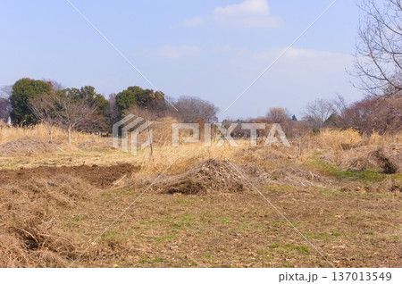 埼玉県川口市見沼自然の家周辺2026年2月 埼玉県川口市見沼自然の家周辺2026年2月 137013549