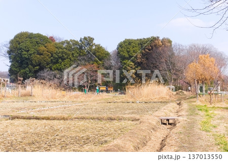埼玉県川口市見沼自然の家周辺2026年2月 137013550