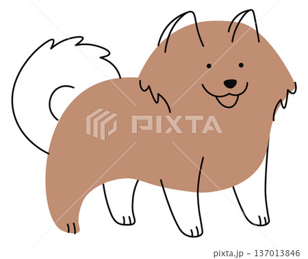 Chow chow dog doodle. Cute puppy drawing Chow chow dog doodle. Cute puppy drawing 137013846