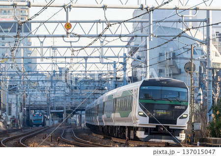 【東海道本線】早朝の大森の街並みを通過する特急踊り子51号 137015047