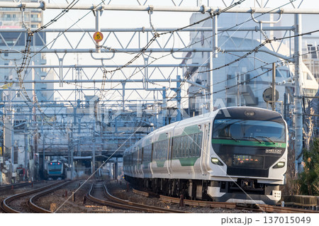 【東海道本線】早朝の大森の街並みを通過する特急踊り子51号 137015049
