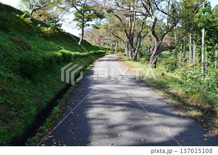 山岳道路 山形県庄内 137015108