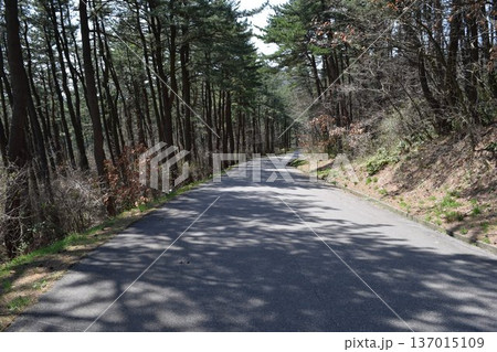 山岳道路 山形県庄内 137015109