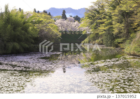 鶴ヶ城公園 鶴ヶ城公園 137015952