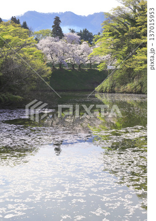鶴ヶ城公園 鶴ヶ城公園 137015953