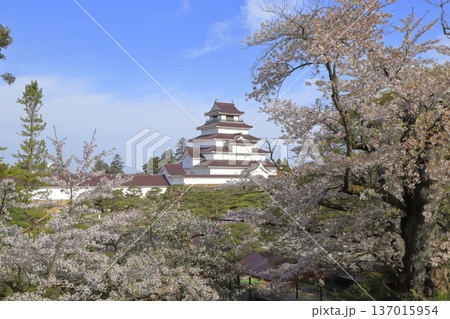 鶴ヶ城公園 鶴ヶ城公園 137015954