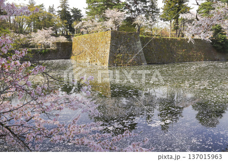 鶴ヶ城公園 鶴ヶ城公園 137015963