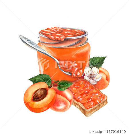 Ripe apricot fruit with jam in a glass jar with toast bread, silver spoon with jam. Watercolor clipart isolated on white background for packaging design, jam label, branding, bakery menu, healthy food Ripe apricot fruit with jam in a glass jar with toast bread, silver spoon with jam. Watercolor clipart isolated on white background for packaging design, jam label, branding, bakery menu, healthy food 137016140
