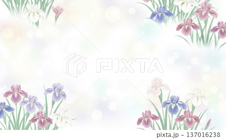 パステルカラーの背景素材　花しょうぶ 137016238