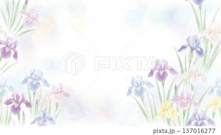 パステルカラーの背景素材　花しょうぶ 137016277