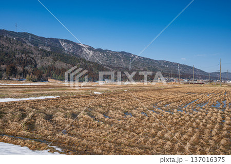 浅春の奥琵琶湖の田園風景　滋賀県長浜市永原 137016375