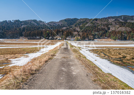 浅春の奥琵琶湖の田園風景　滋賀県長浜市永原 137016382