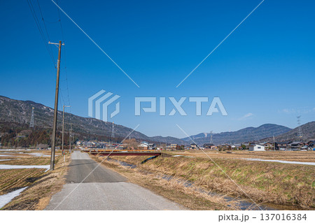 浅春の奥琵琶湖の田園風景　滋賀県長浜市永原 137016384
