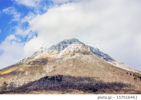 積雪の由布岳 積雪の由布岳 137016461