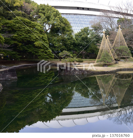 小石川後楽園、中庭 137016760