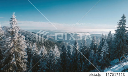 Snow-Covered Winter Mountain Landscape with Pine Trees Snow-Covered Winter Mountain Landscape with Pine Trees 137017528