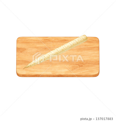 ごぼうと木製まな板 水彩シンプル 横構図 切り抜きPNG ごぼうと木製まな板 水彩シンプル 横構図 切り抜きPNG 137017883