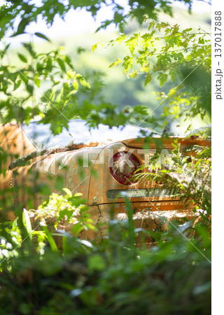 草に埋もれた放置車両 137017888