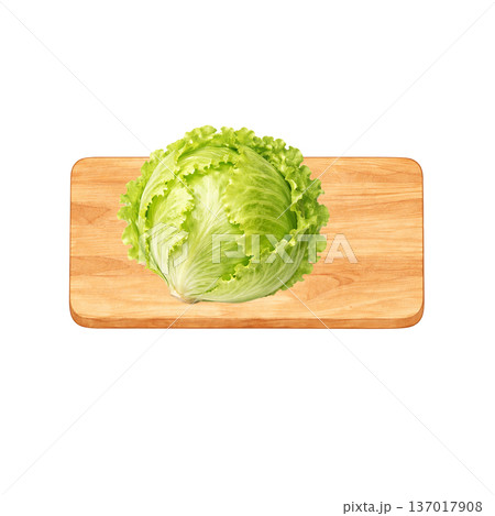 レタスと木製まな板 水彩シンプル 横構図 切り抜きPNG 137017908