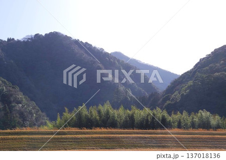 山のある風景 山のある風景 137018136