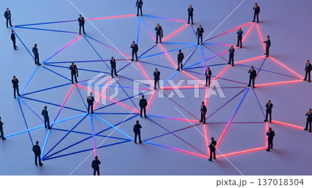 ネットワーク接続（人脈） 137018304