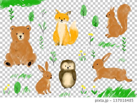 かわいい森の動物イラストセット 137018485