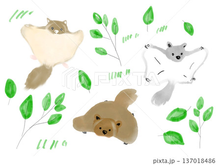 森の中のモモンガの手描きイラスト 137018486