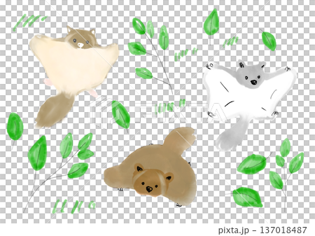 森の中のモモンガの手描きイラスト 137018487