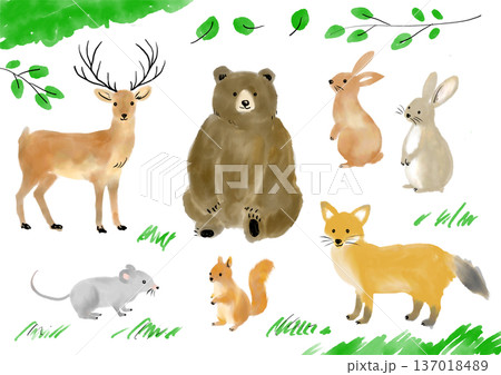 かわいい森の動物イラストセット 137018489
