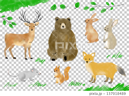 可愛的森林動物插畫集 137018489