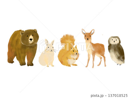 かわいい森の動物イラストセット 137018525