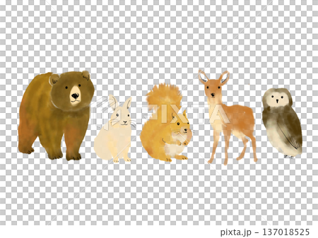 かわいい森の動物イラストセット 137018525