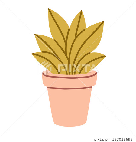 Flat vector houseplant in terracotta pink pot. Minimal indoor plant illustration isolated on light background, perfect for home decor, gardening, botanical and eco design projects Flat vector houseplant in terracotta pink pot. Minimal indoor plant illustration isolated on light background, perfect for home decor, gardening, botanical and eco design projects 137018693