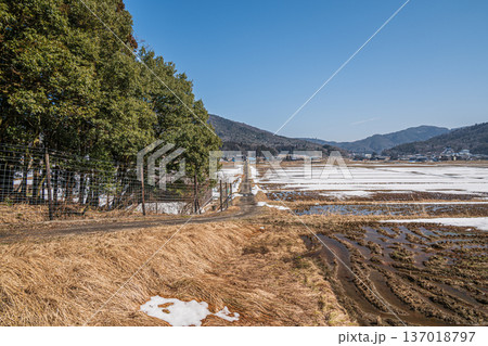 浅春の奥琵琶湖の田園風景 滋賀県長浜市永原 浅春の奥琵琶湖の田園風景 滋賀県長浜市永原 137018797