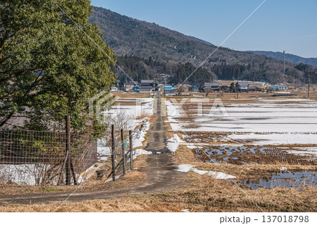 浅春の奥琵琶湖の田園風景 滋賀県長浜市永原 浅春の奥琵琶湖の田園風景 滋賀県長浜市永原 137018798
