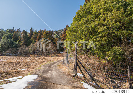 奥琵琶湖の里山風景　滋賀県長浜市永原 137018910
